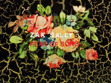 ZAK SALLY S FEAR OF SONG - WHY WE HIDE (VINYL) Online Sale