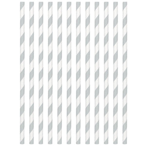 Silver Paper Straws 24pcs For Sale