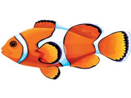 Clownfish Cutout For Discount